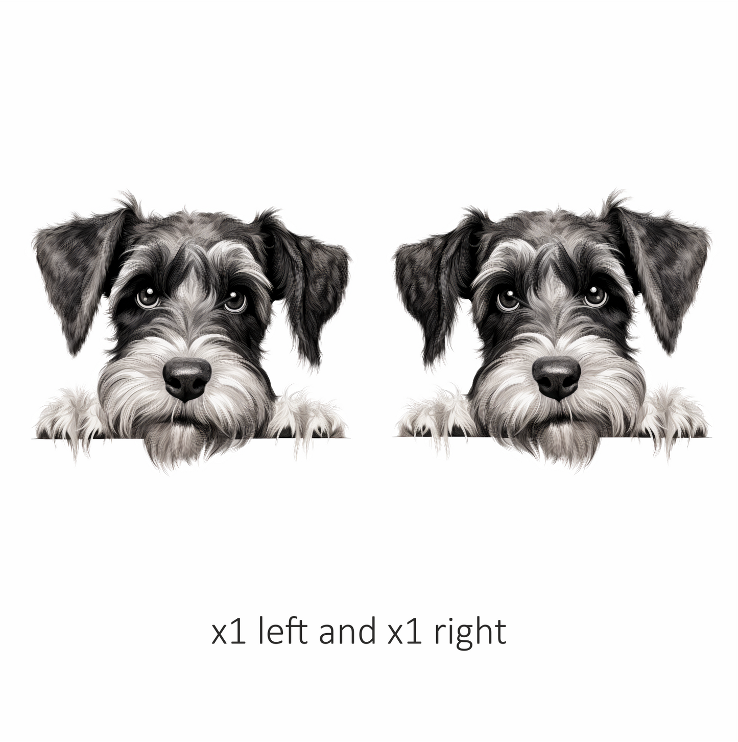 Black White Dog Schnauzer Face Vinyl Sticker Decal
