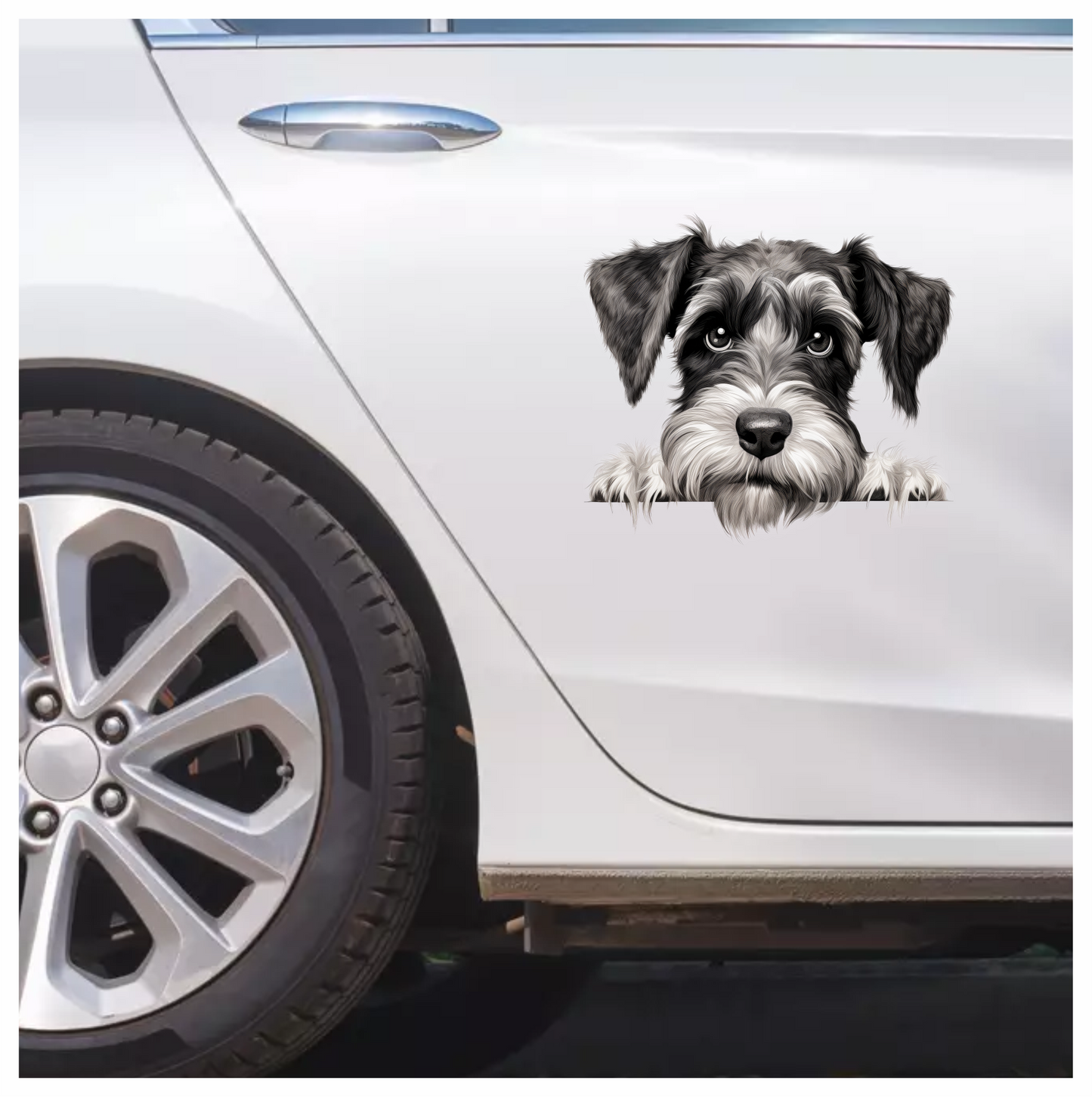 Black White Dog Schnauzer Face Vinyl Sticker Decal