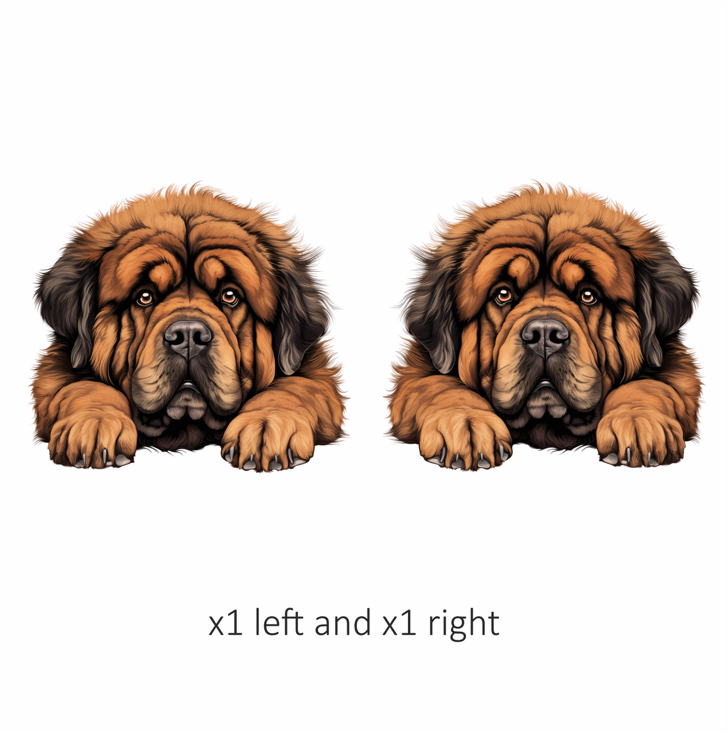 Brown Dog Tibetan Mastiff Portrait Vinyl Sticker Decal
