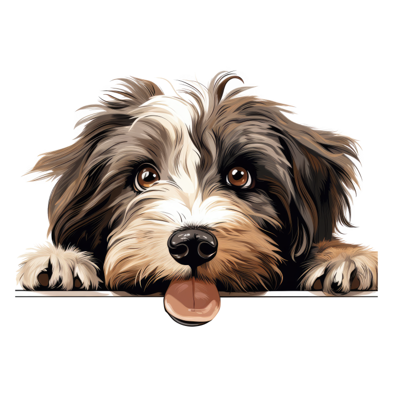 Brown White Dog Shaggy Terrier Vinyl Sticker Decal