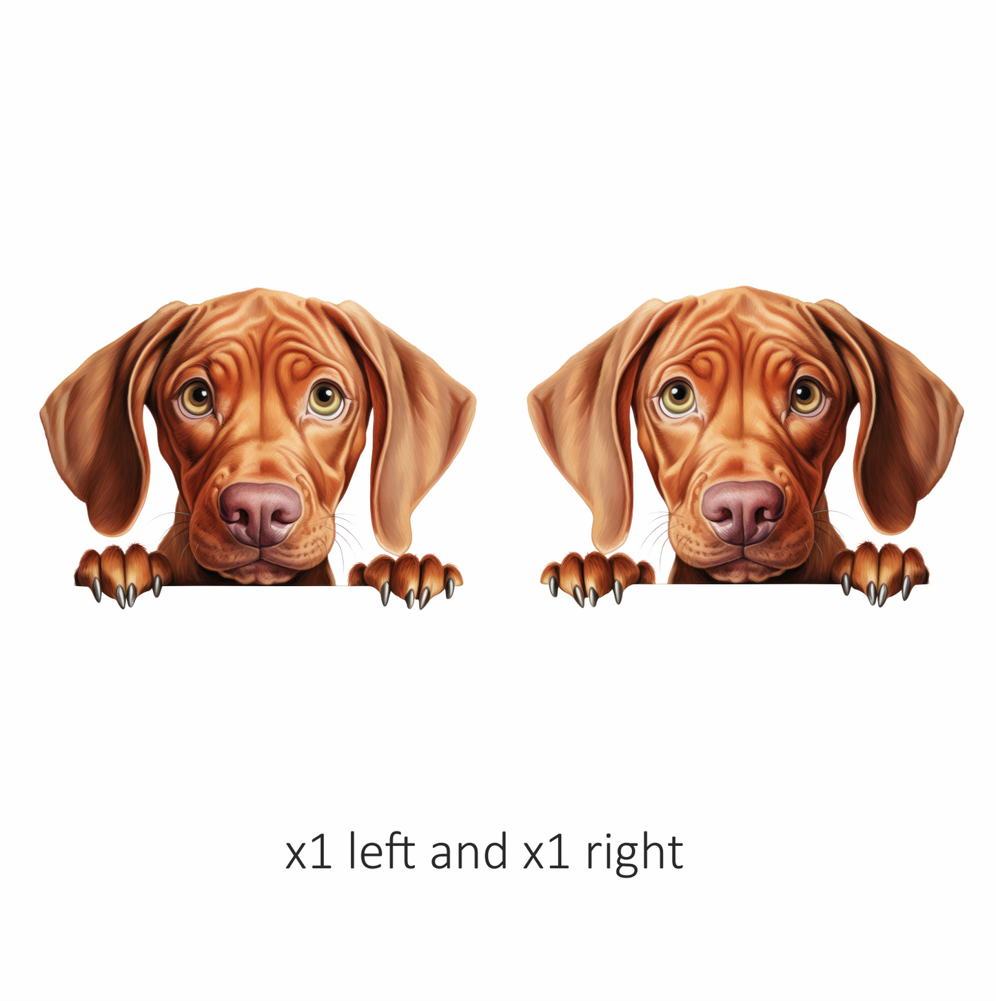Brown Dog Puppy Sad Eyes Vinyl Sticker Decal