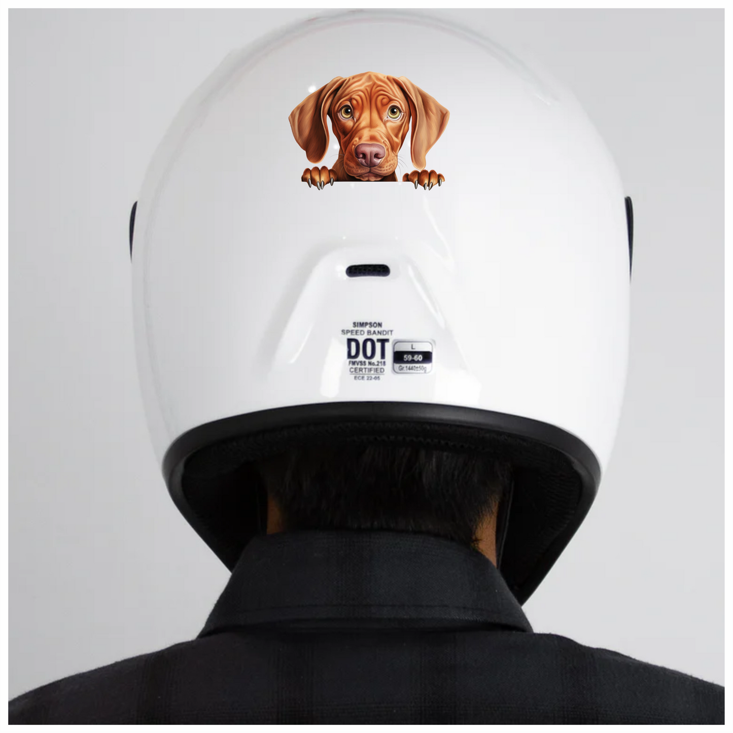 Brown Dog Puppy Sad Eyes Vinyl Sticker Decal