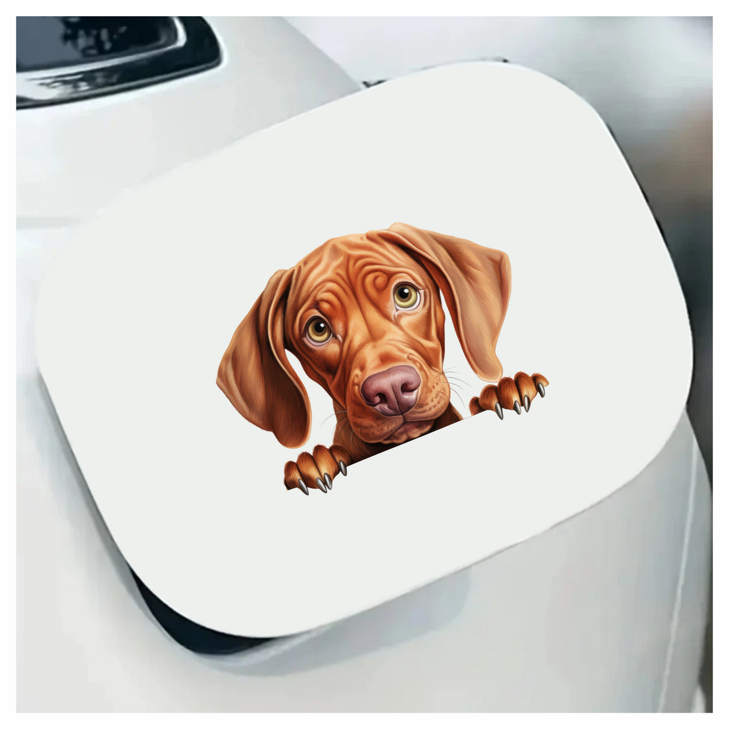 Brown Dog Puppy Sad Eyes Vinyl Sticker Decal