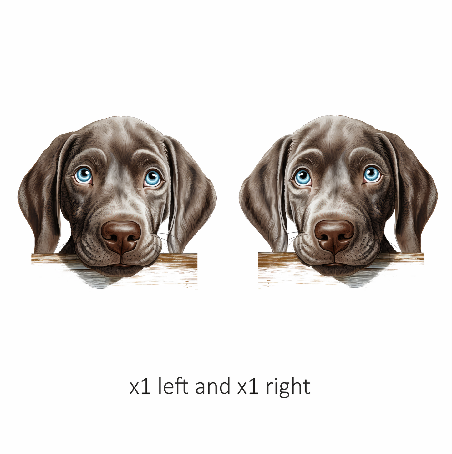 Brown Dog Puppy Labrador Head Vinyl Sticker Decal