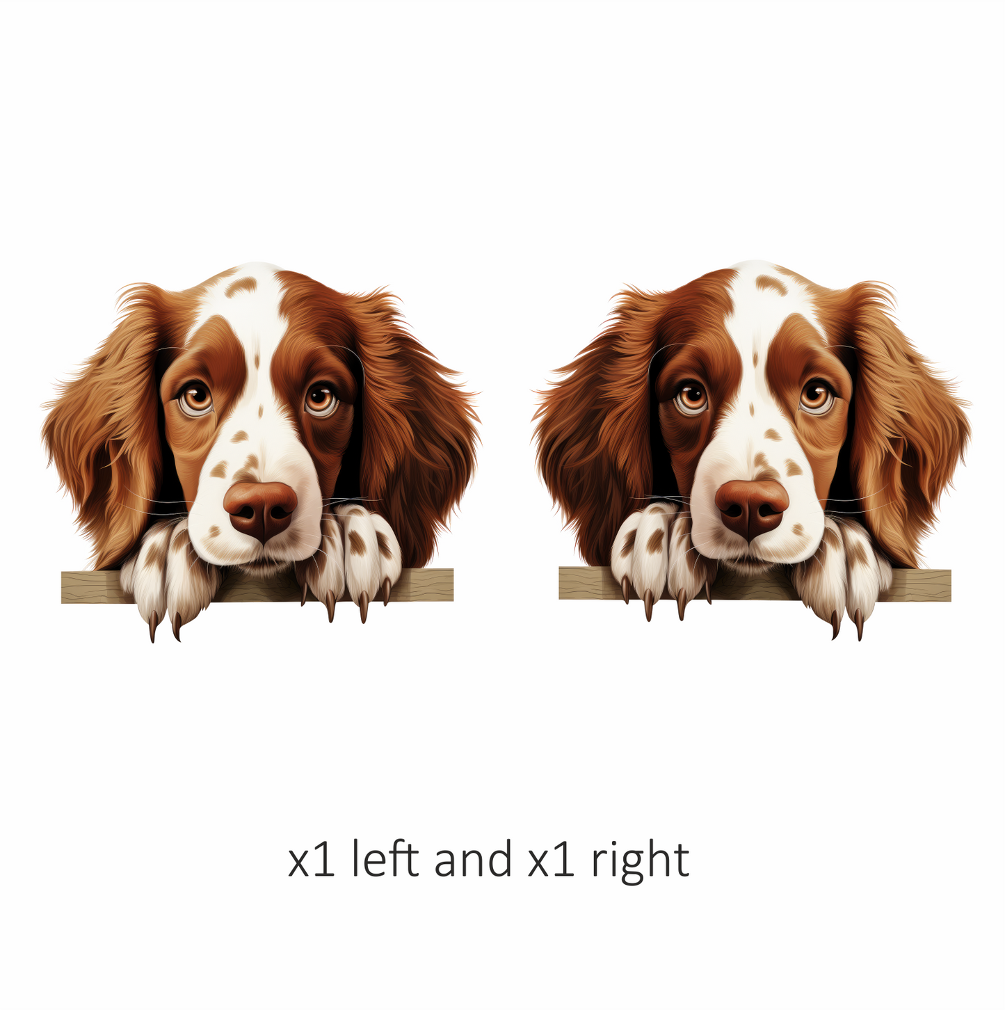 Brown White Spaniel Dog Face Vinyl Sticker Decal