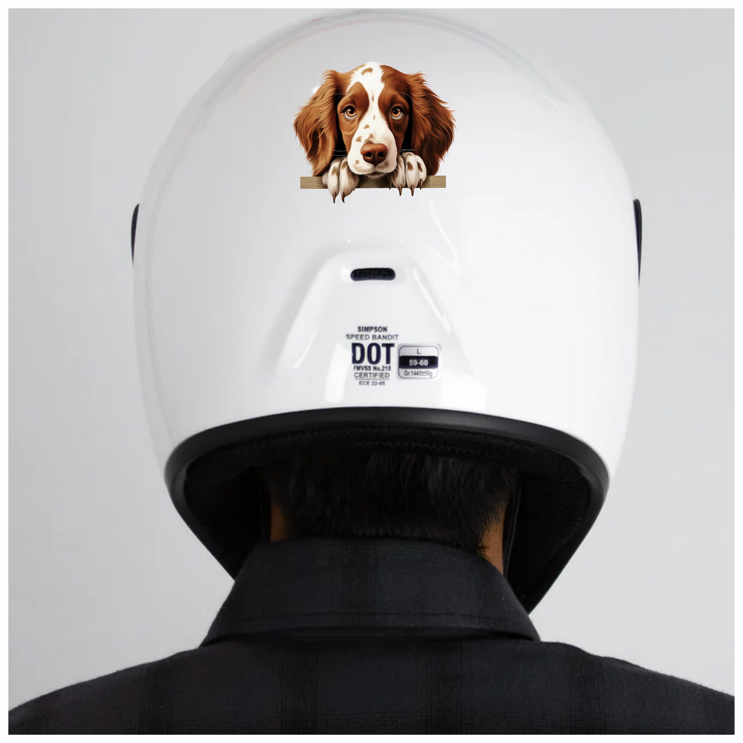 Brown White Spaniel Dog Face Vinyl Sticker Decal