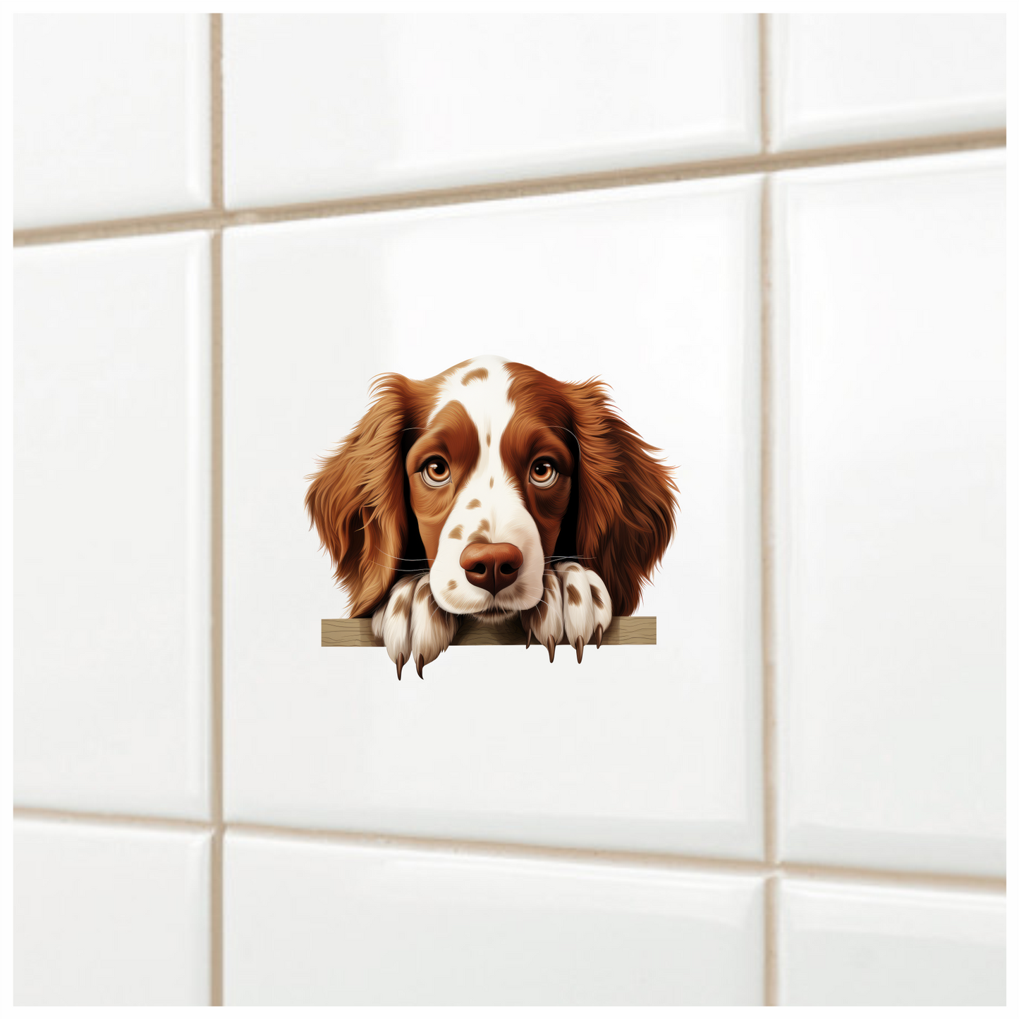 Brown White Spaniel Dog Face Vinyl Sticker Decal