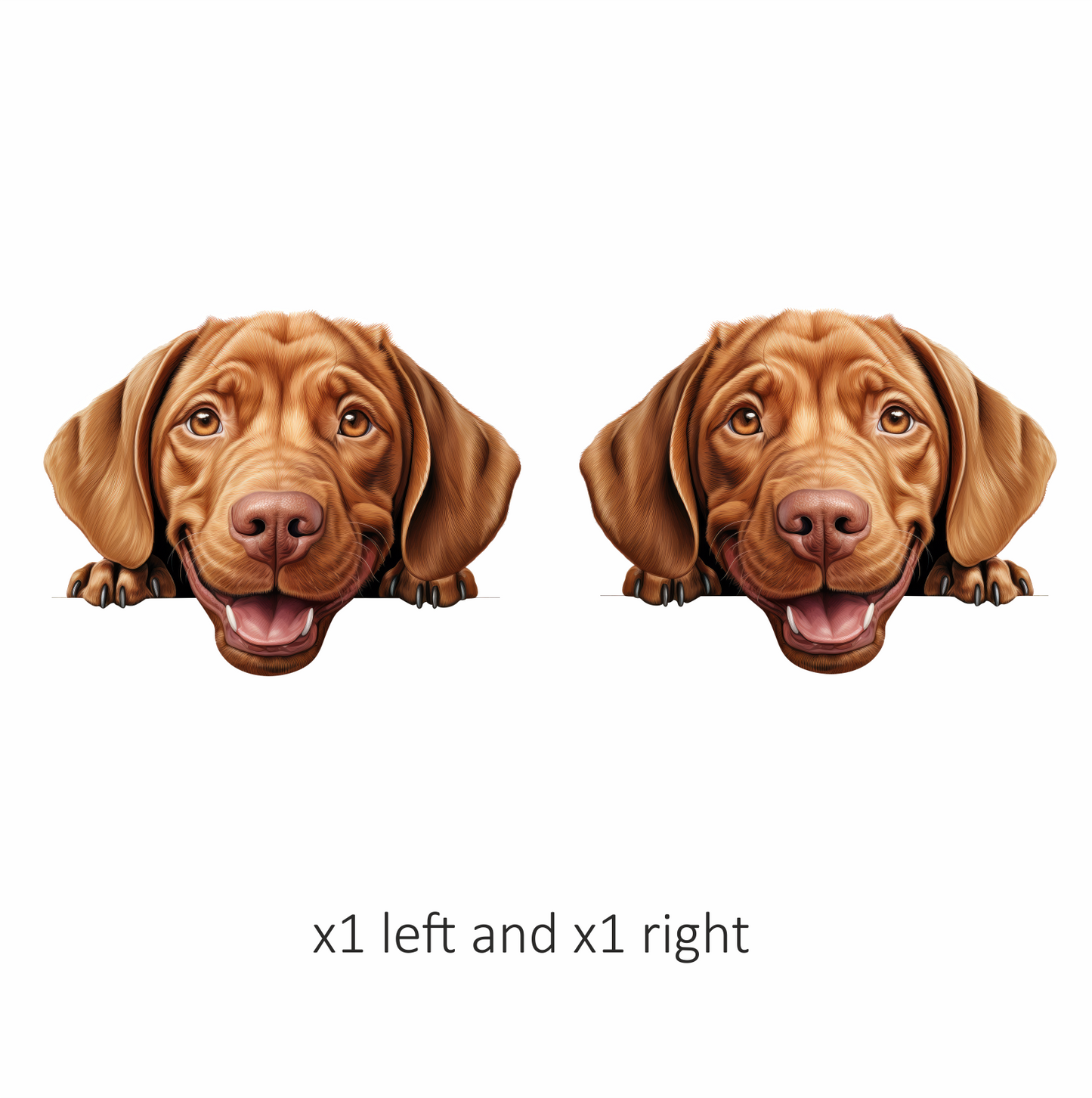 Brown Dog Labrador Smiling Face Vinyl Sticker Decal