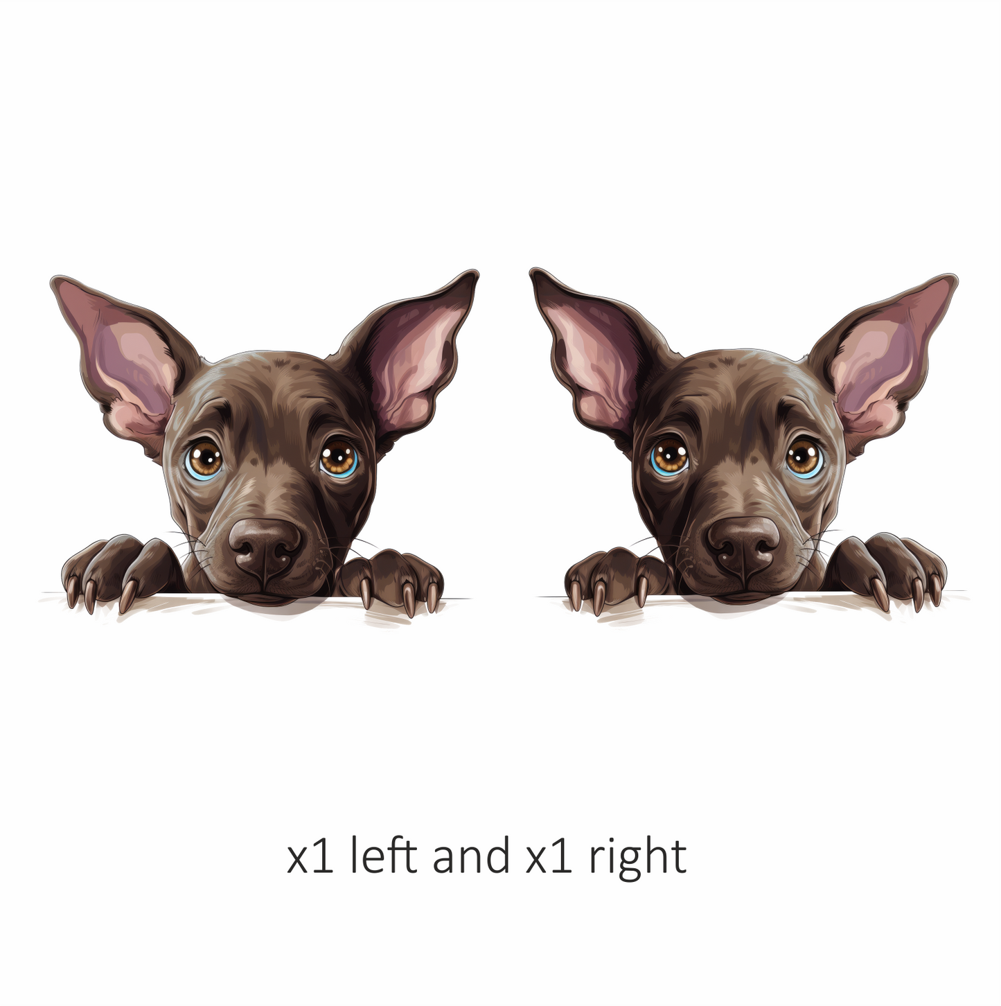 Brown Dog Puppy Big Ears Vinyl Sticker Decal