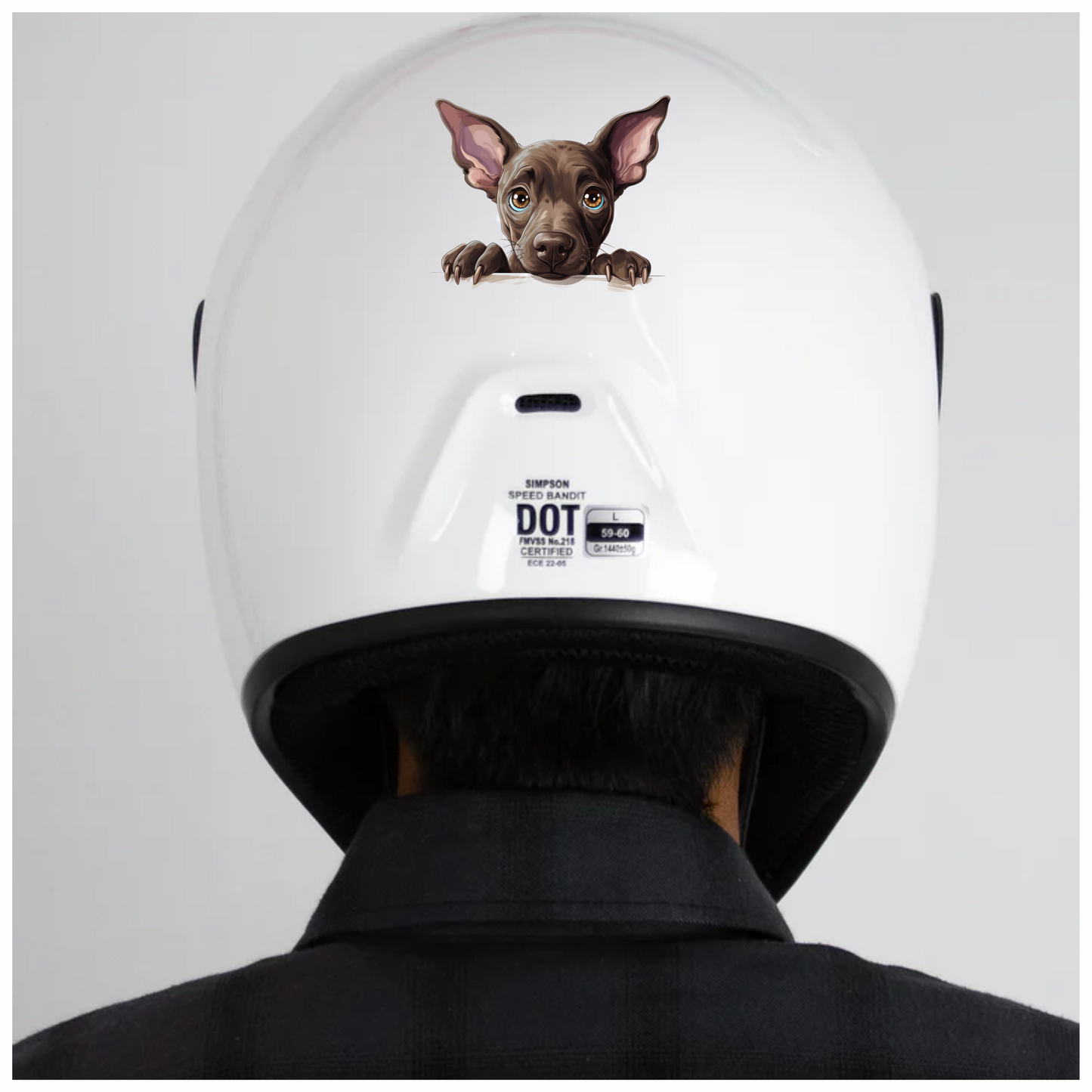 Brown Dog Puppy Big Ears Vinyl Sticker Decal