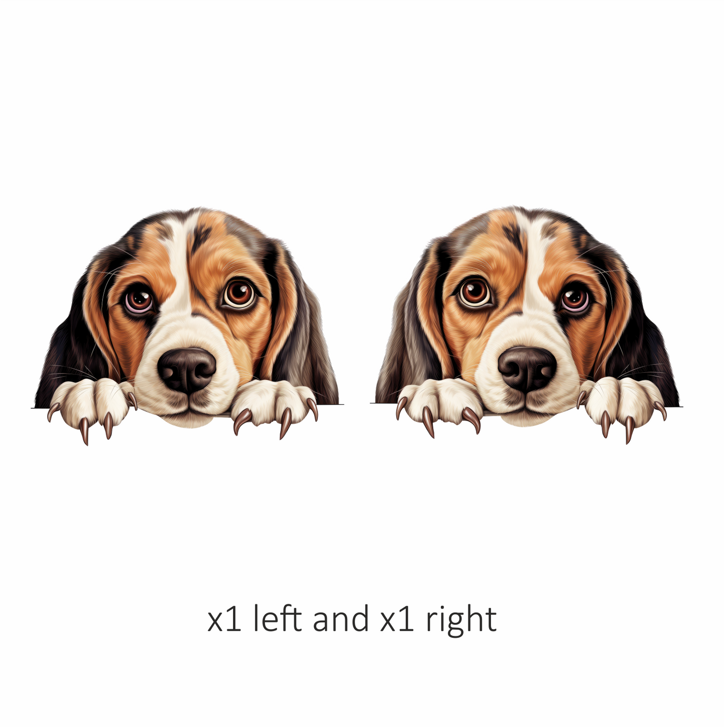 Brown White Beagle Dog Face Vinyl Sticker Decal