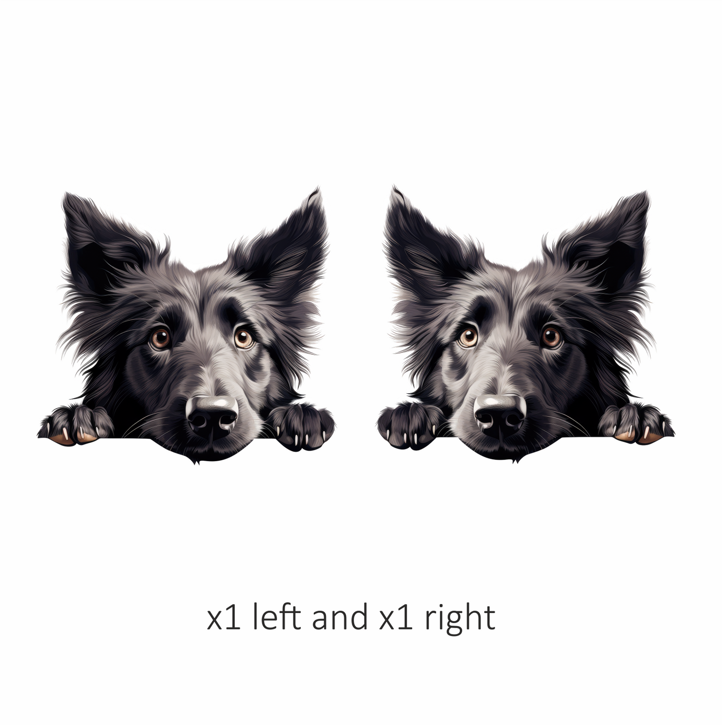 Black Dog Border Collie Face Vinyl Sticker Decal