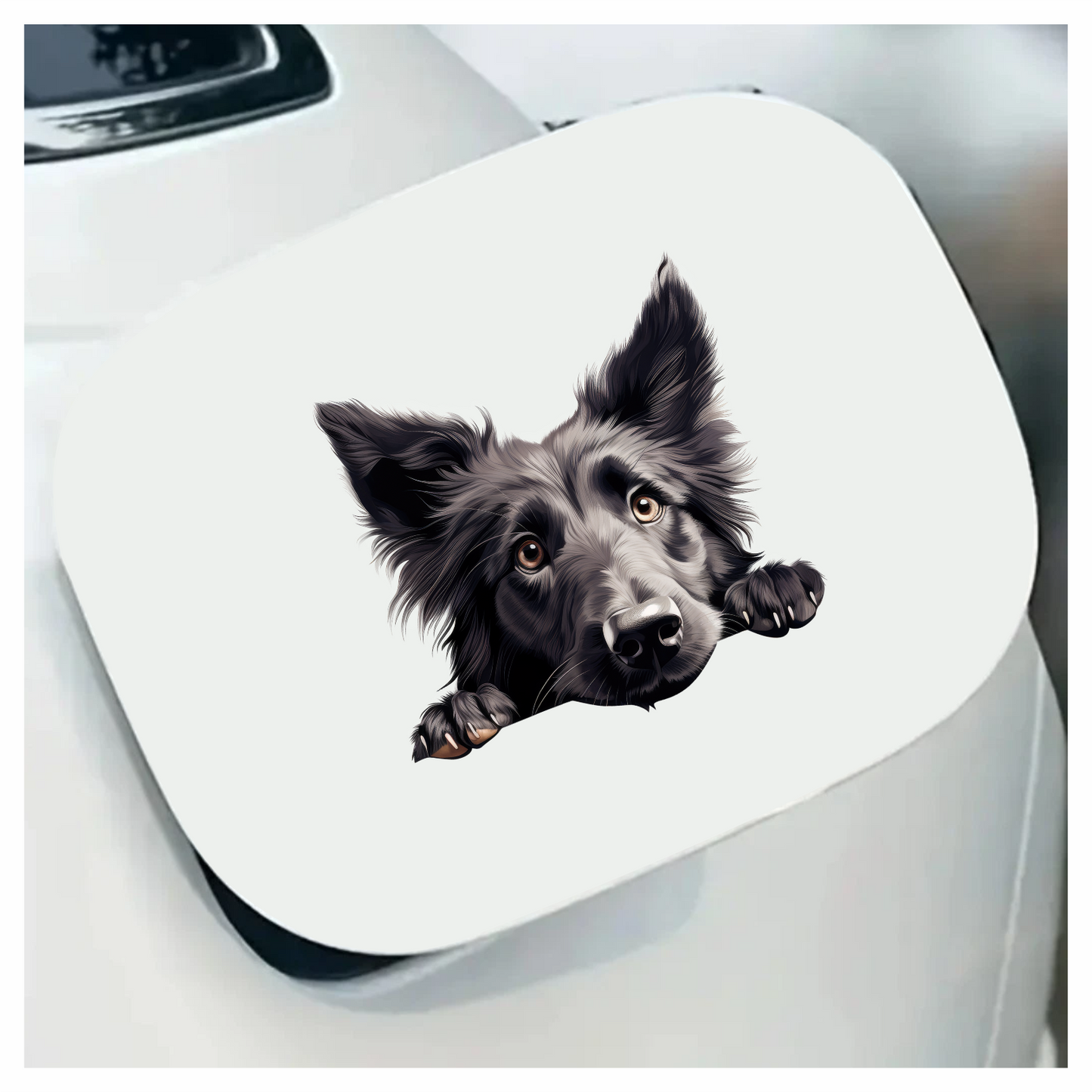 Black Dog Border Collie Face Vinyl Sticker Decal