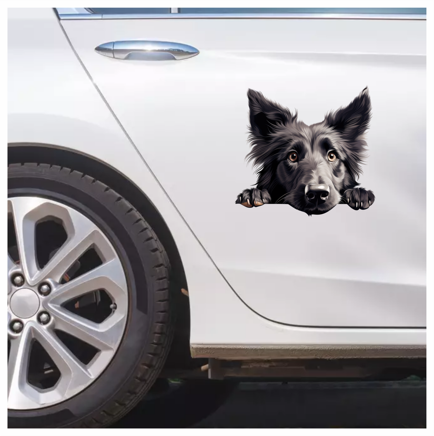 Black Dog Border Collie Face Vinyl Sticker Decal