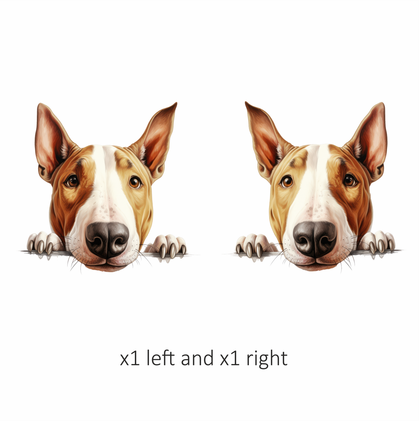 Brown White Dog Bullterrier Face Vinyl Sticker Decal