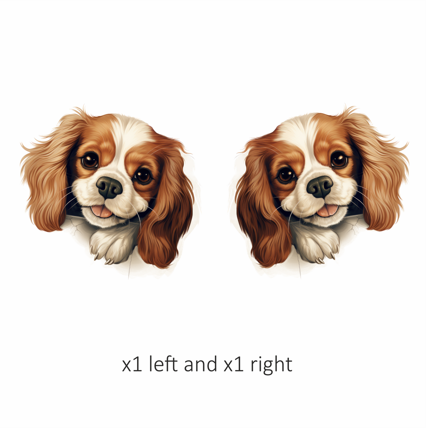 Brown White Dog Cavalier Spaniel Vinyl Sticker Decal