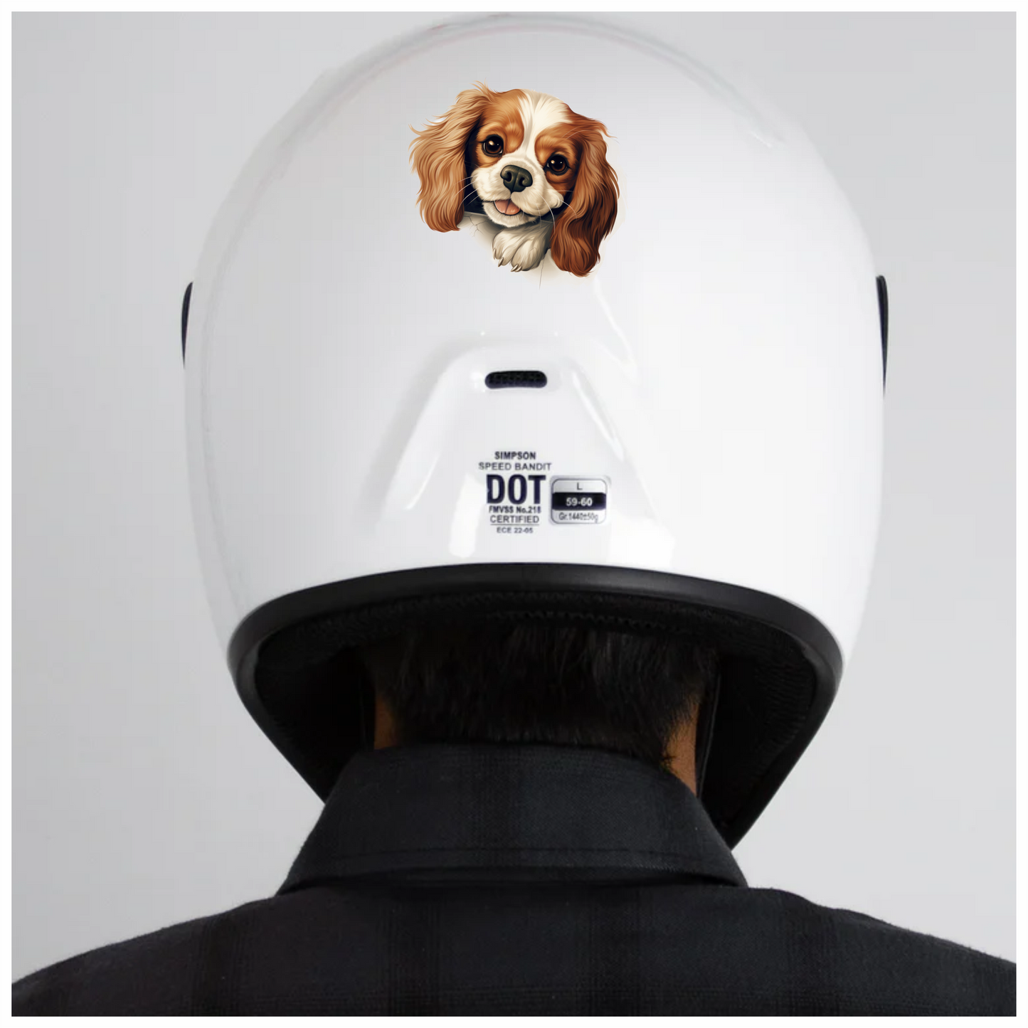Brown White Dog Cavalier Spaniel Vinyl Sticker Decal