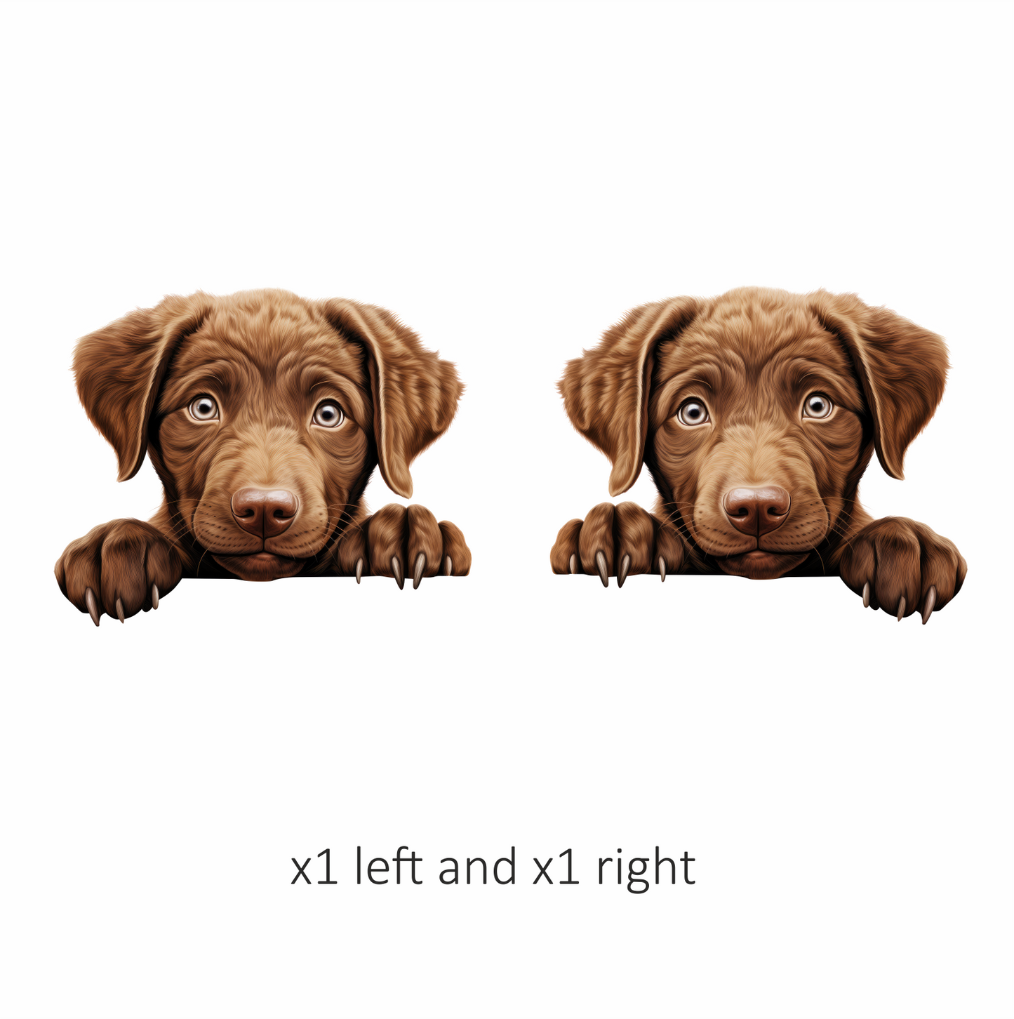 Brown Puppy Labrador Paw Cute Vinyl Sticker Decal
