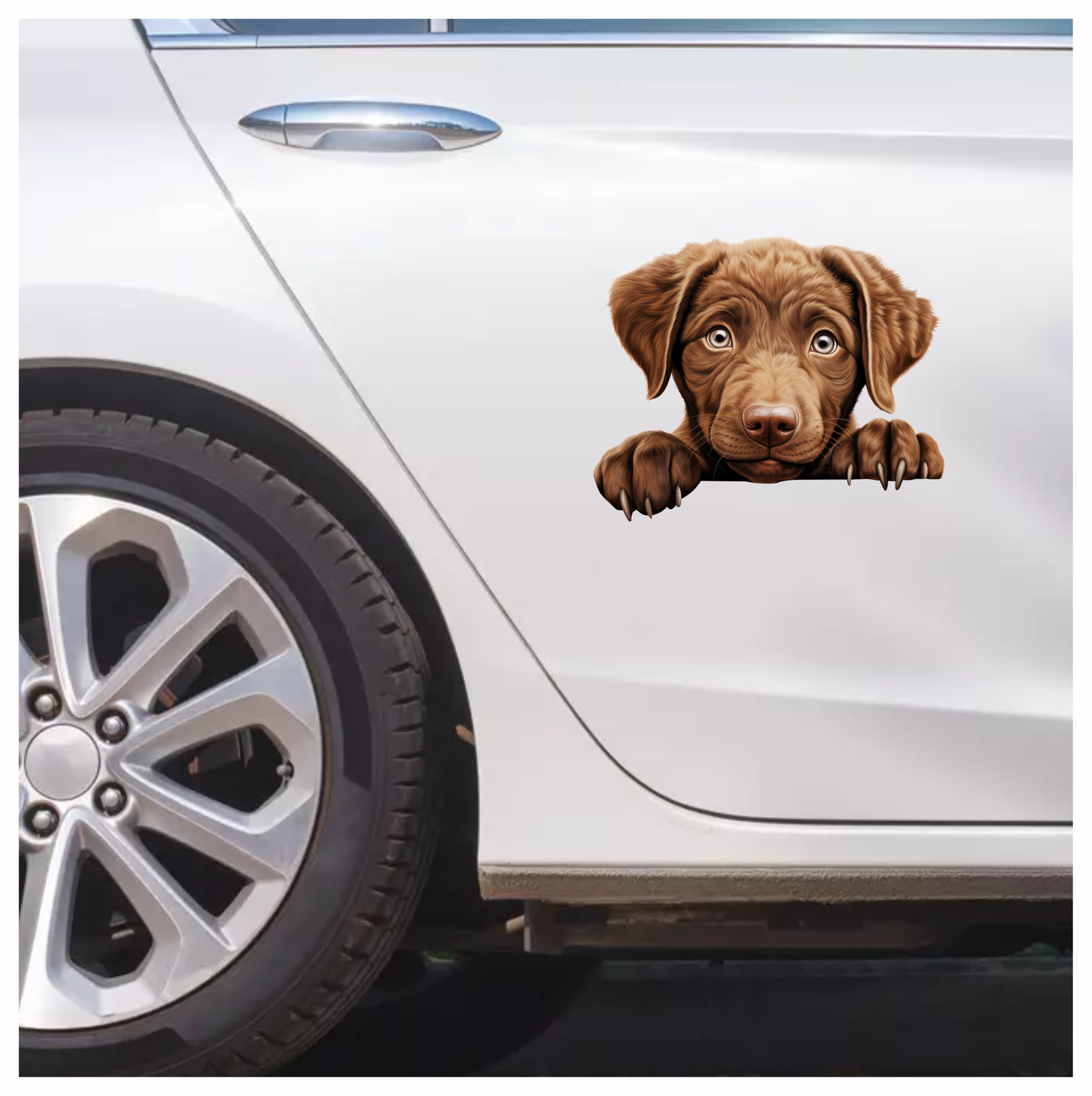 Brown Puppy Labrador Paw Cute Vinyl Sticker Decal