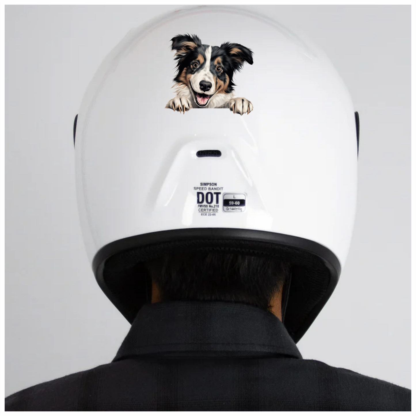 Black White Brown Dog Collie Vinyl Sticker Decal