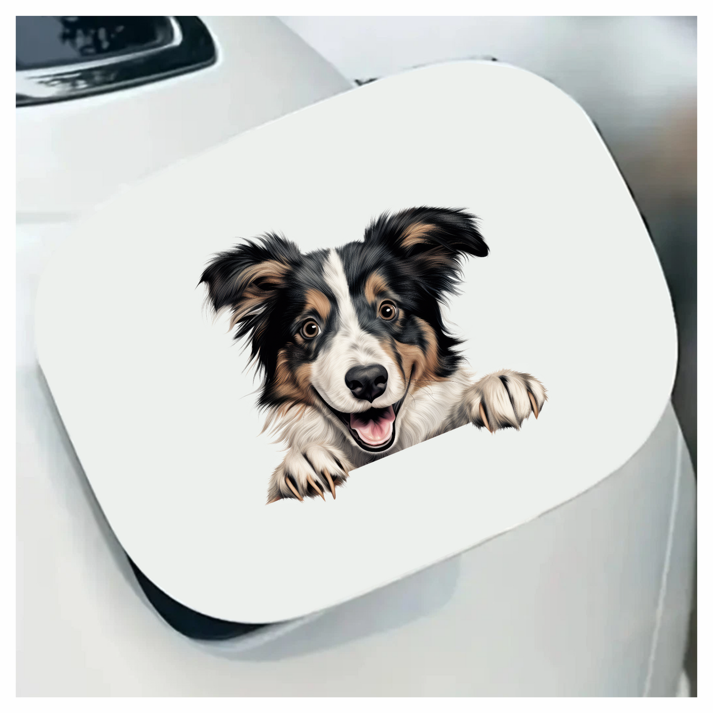 Black White Brown Dog Collie Vinyl Sticker Decal