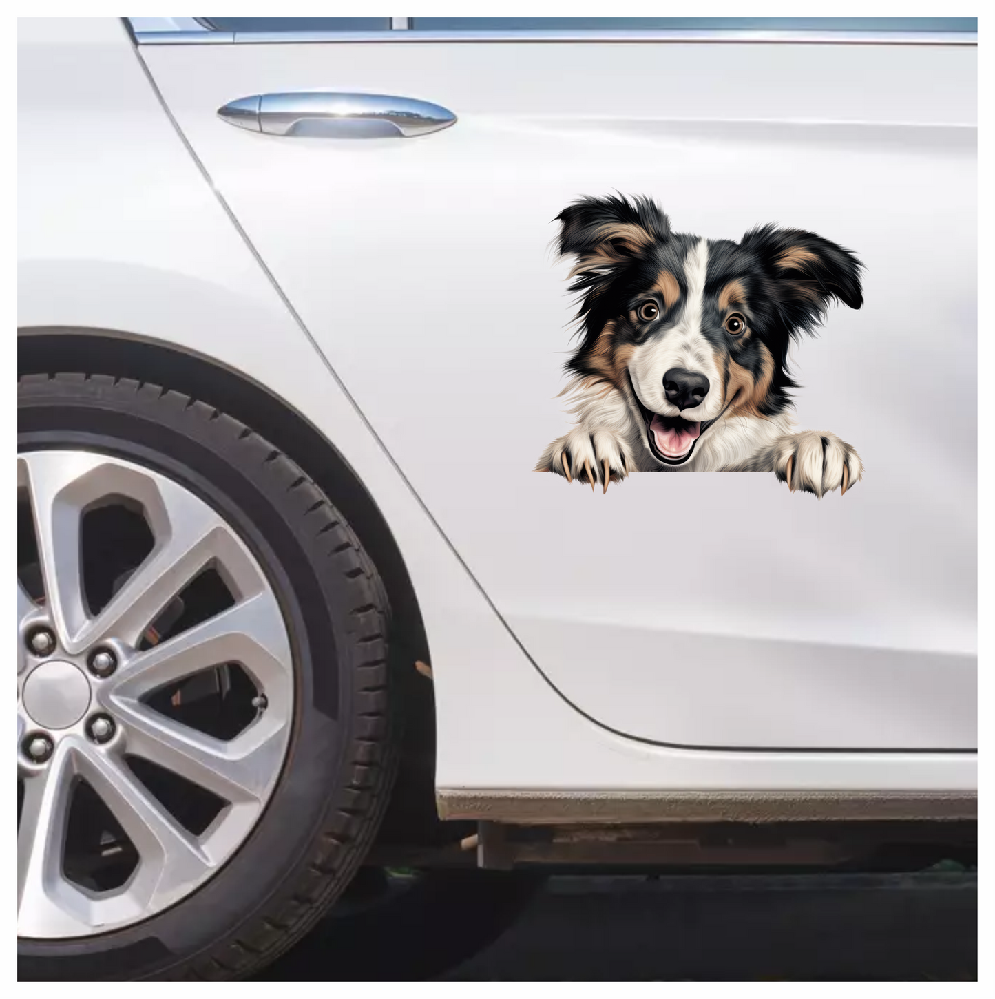 Black White Brown Dog Collie Vinyl Sticker Decal