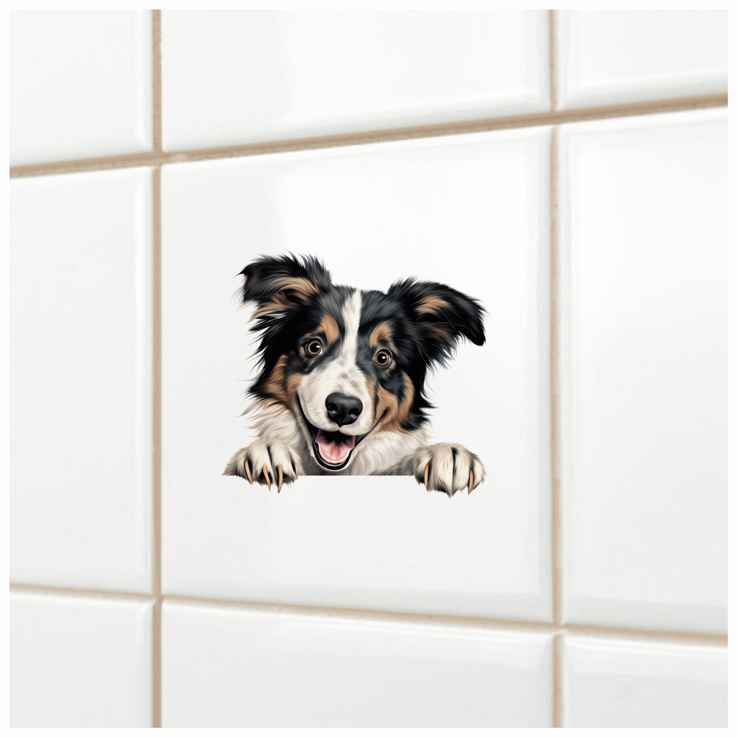 Black White Brown Dog Collie Vinyl Sticker Decal