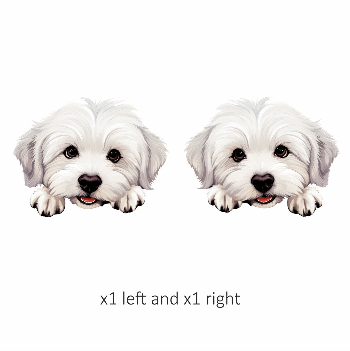 White Puppy Maltese Dog Face Vinyl Sticker Decal