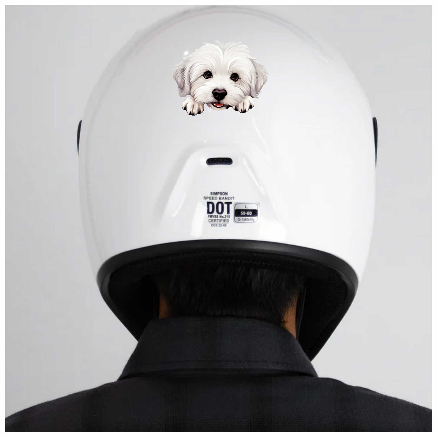 White Puppy Maltese Dog Face Vinyl Sticker Decal