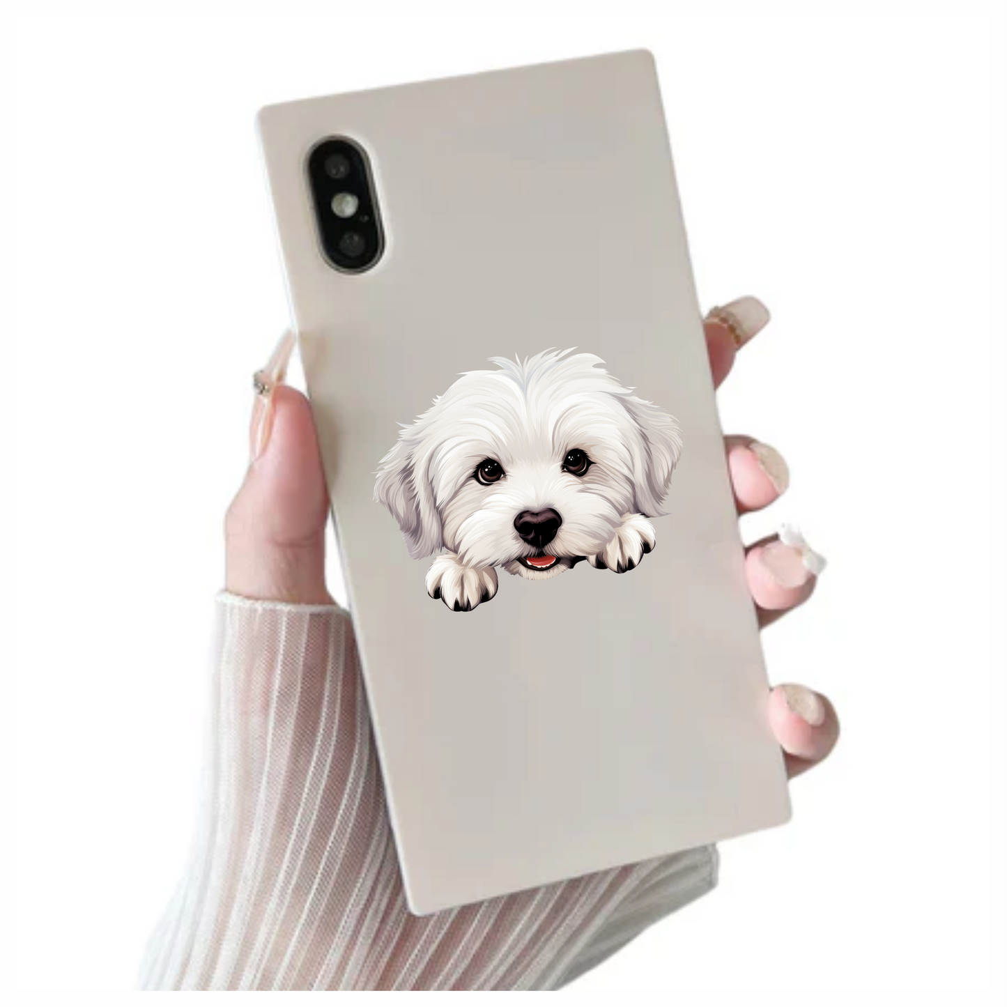 White Puppy Maltese Dog Face Vinyl Sticker Decal