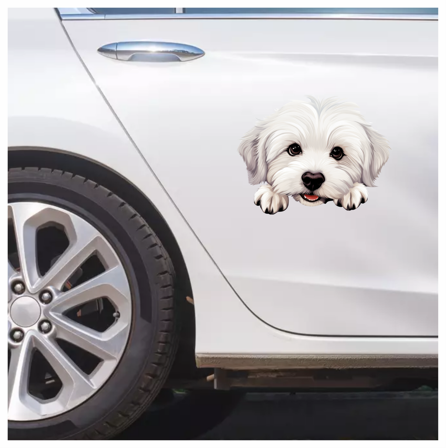 White Puppy Maltese Dog Face Vinyl Sticker Decal