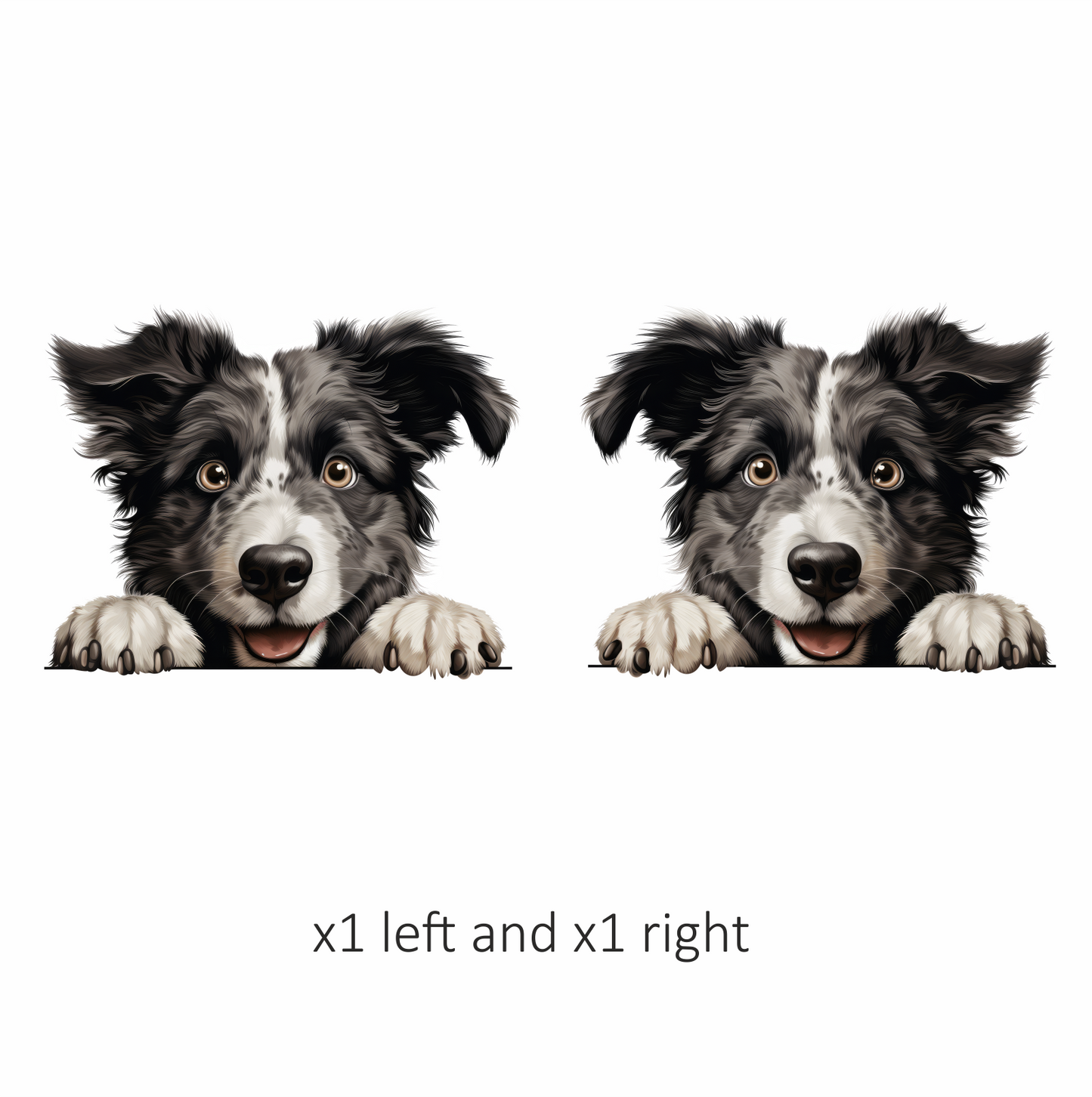 Black White Border Collie Dog Face Vinyl Sticker Decal