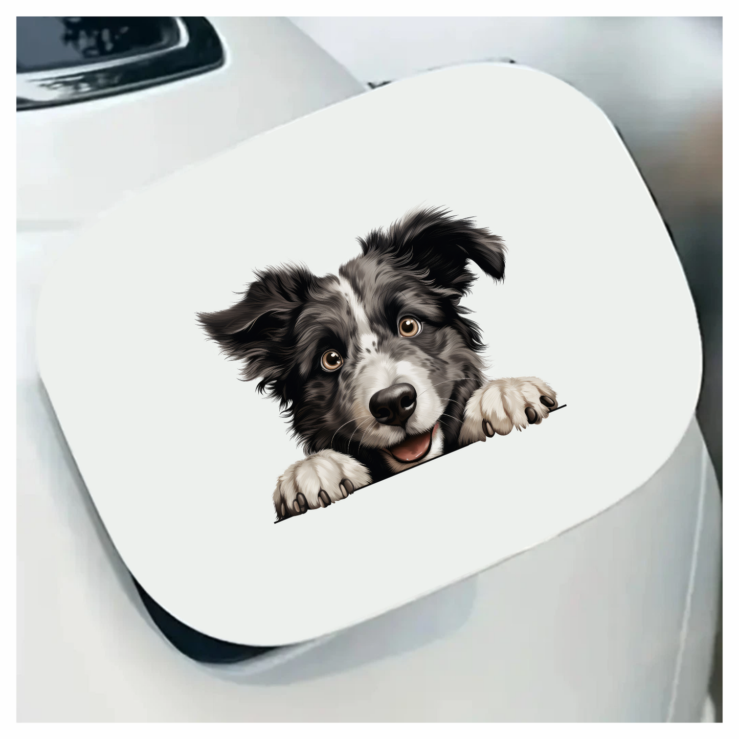 Black White Border Collie Dog Face Vinyl Sticker Decal