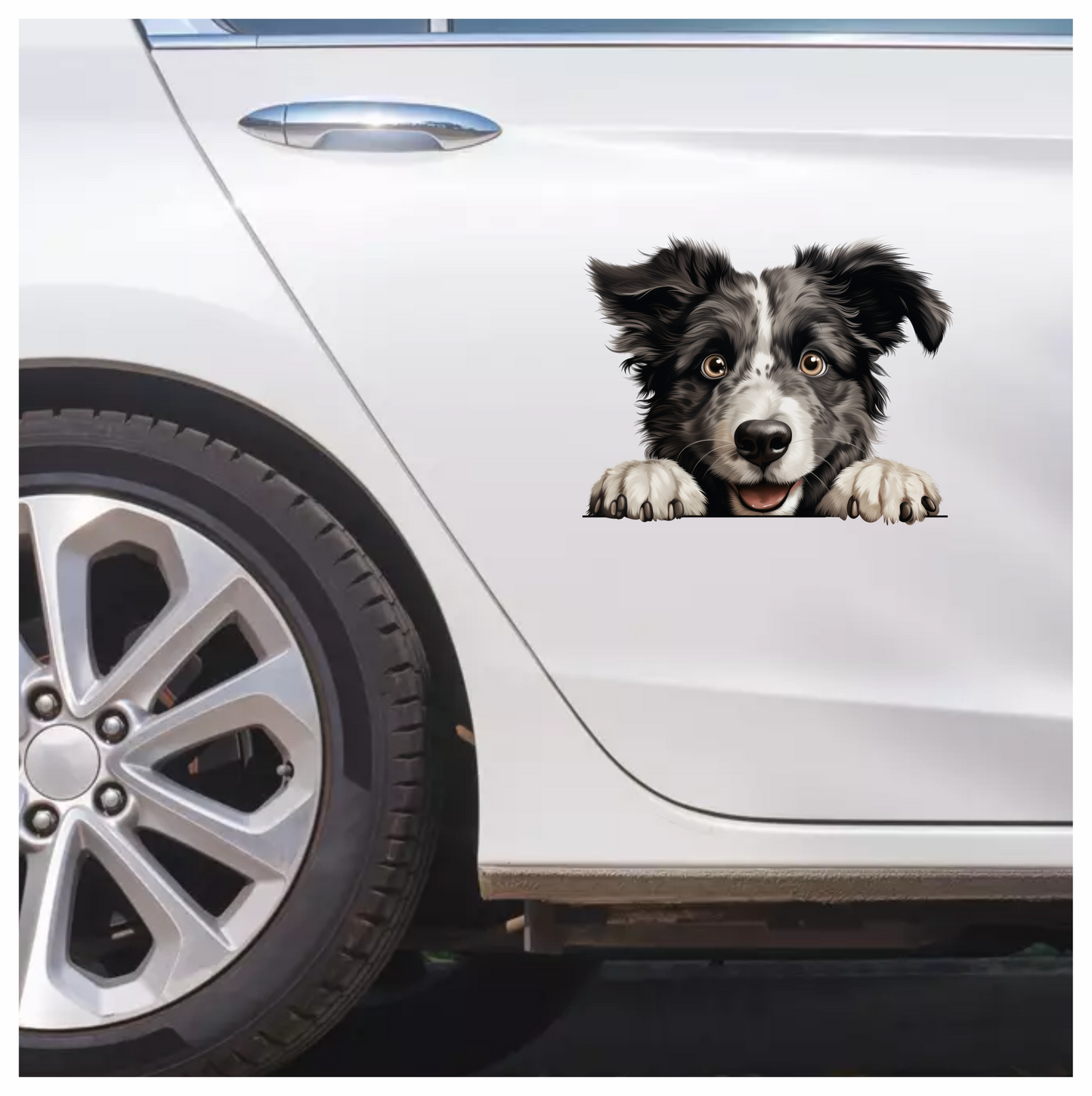 Black White Border Collie Dog Face Vinyl Sticker Decal