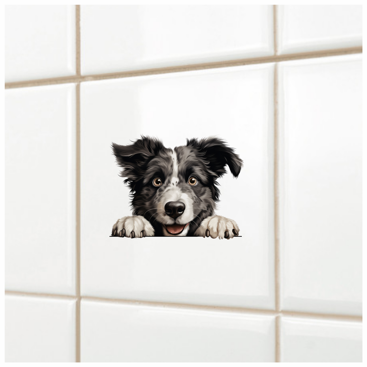 Black White Border Collie Dog Face Vinyl Sticker Decal
