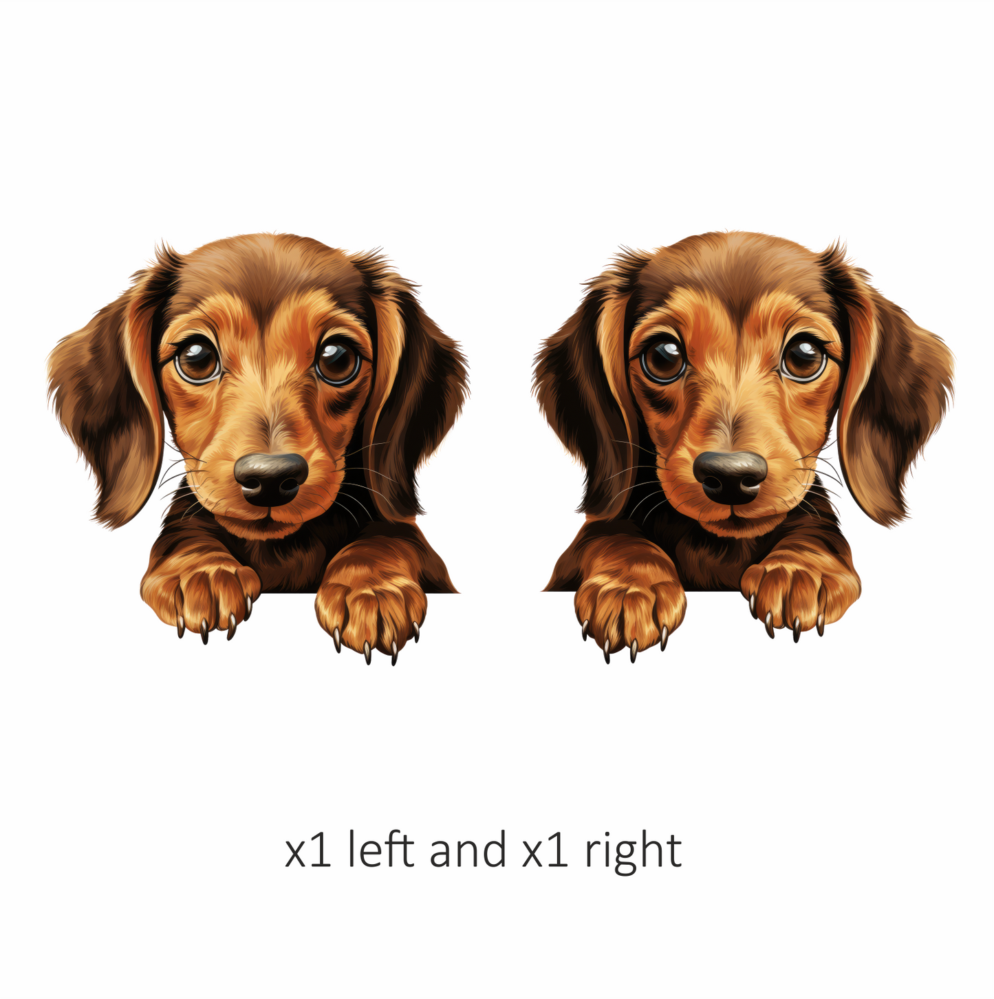 Brown Dog Dachshund Puppy Cute Vinyl Sticker Decal