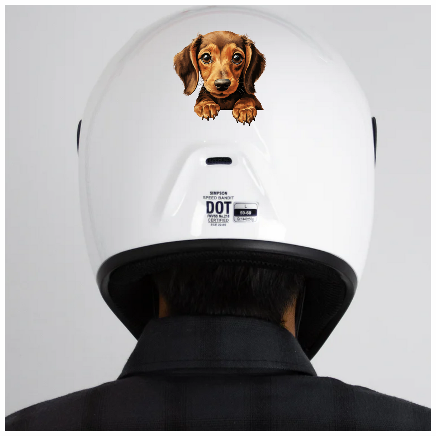 Brown Dog Dachshund Puppy Cute Vinyl Sticker Decal