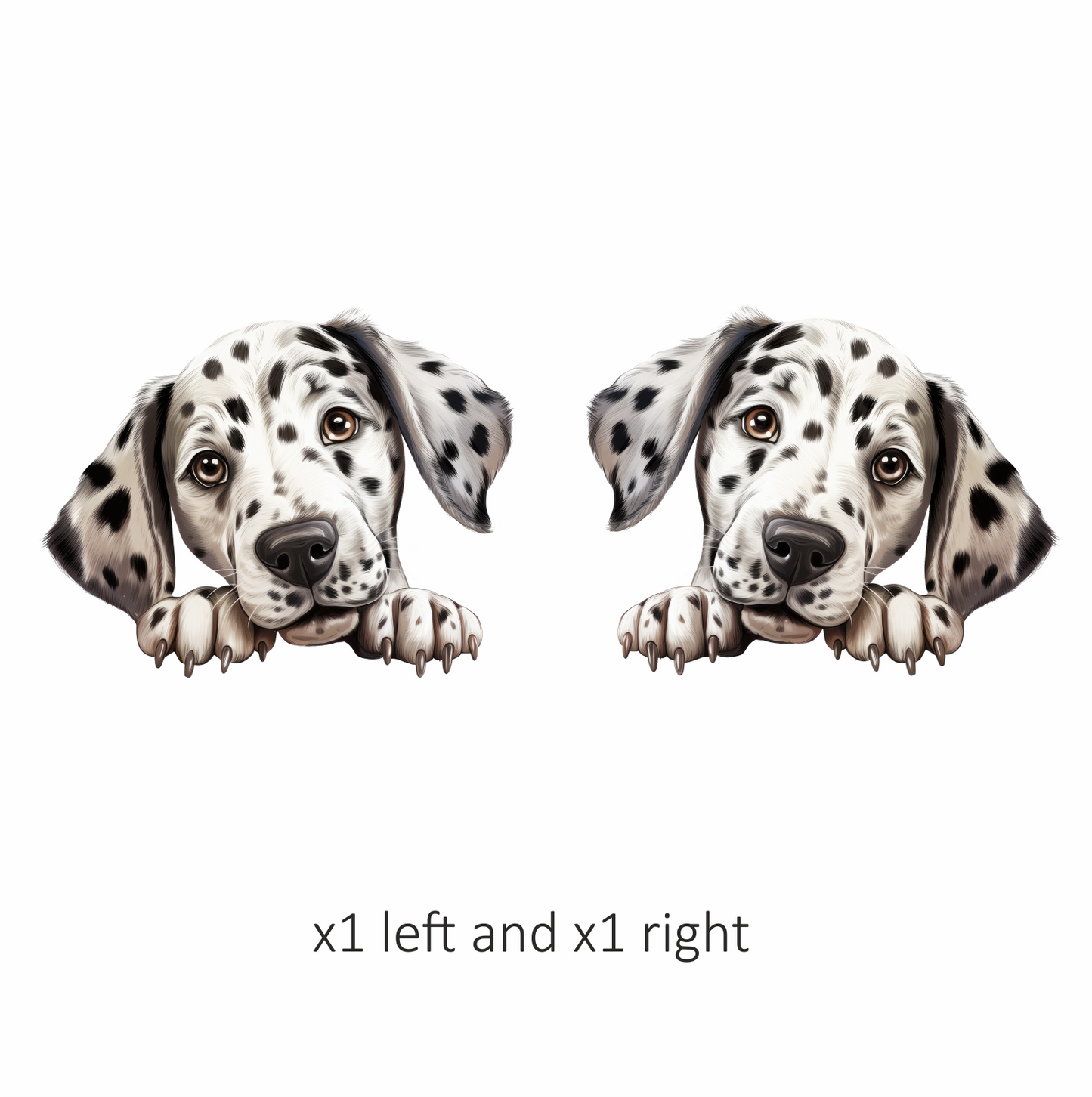 White Dog Dalmatian Puppy Cute Vinyl Sticker Decal