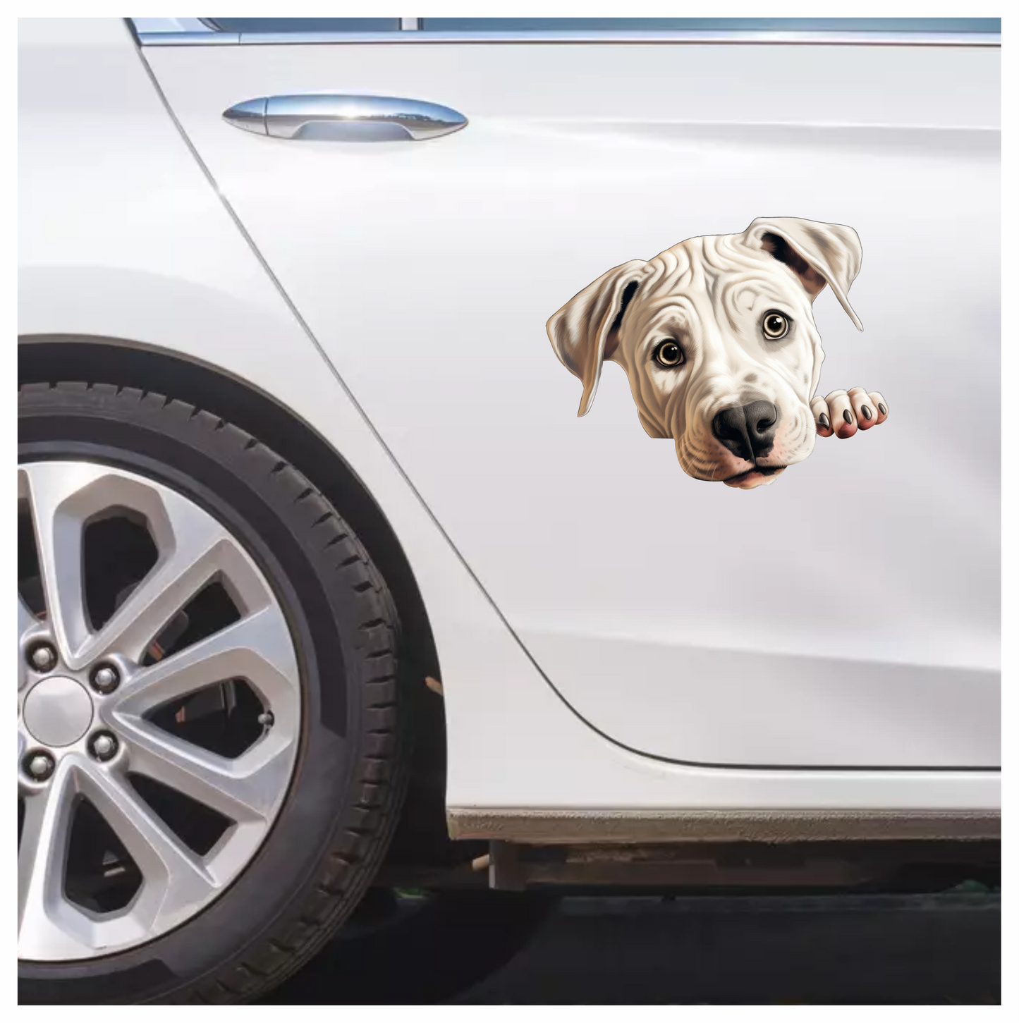 White Dog Puppy Pitbull Cute Vinyl Sticker Decal