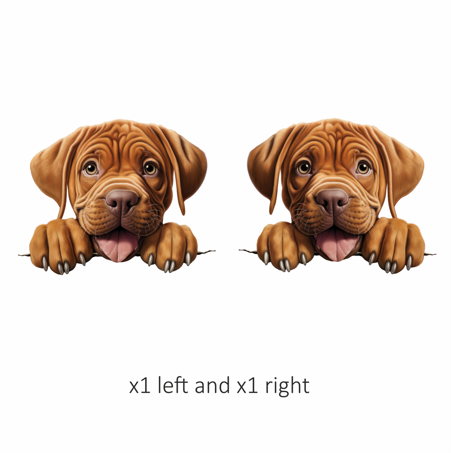 Brown Puppy Dogue De Bordeaux Vinyl Sticker Decal
