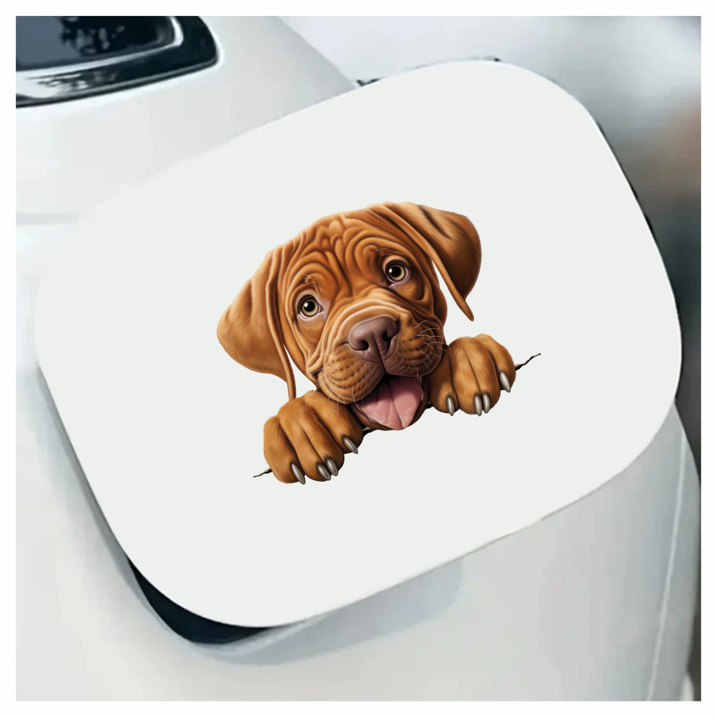 Brown Puppy Dogue De Bordeaux Vinyl Sticker Decal