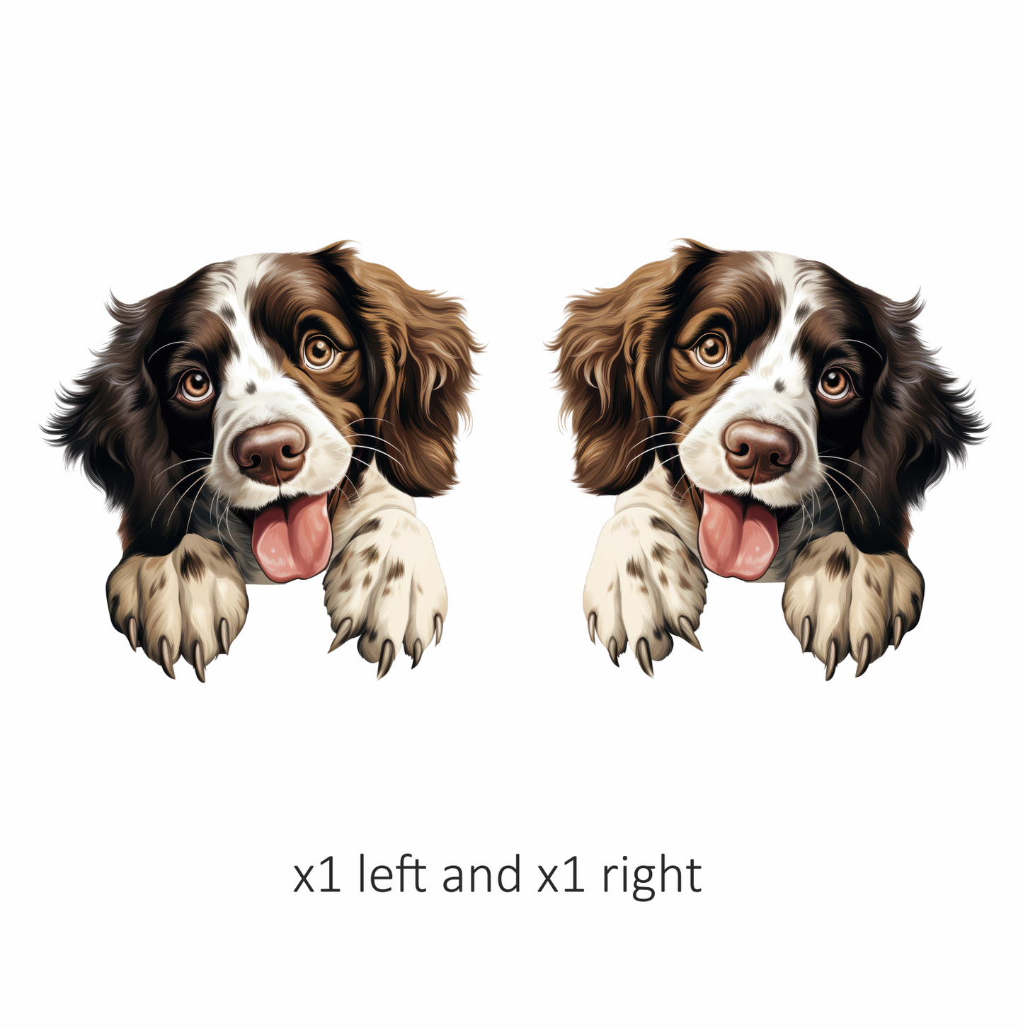 Brown White Dog Spaniel Happy Tongue Vinyl Sticker Decal