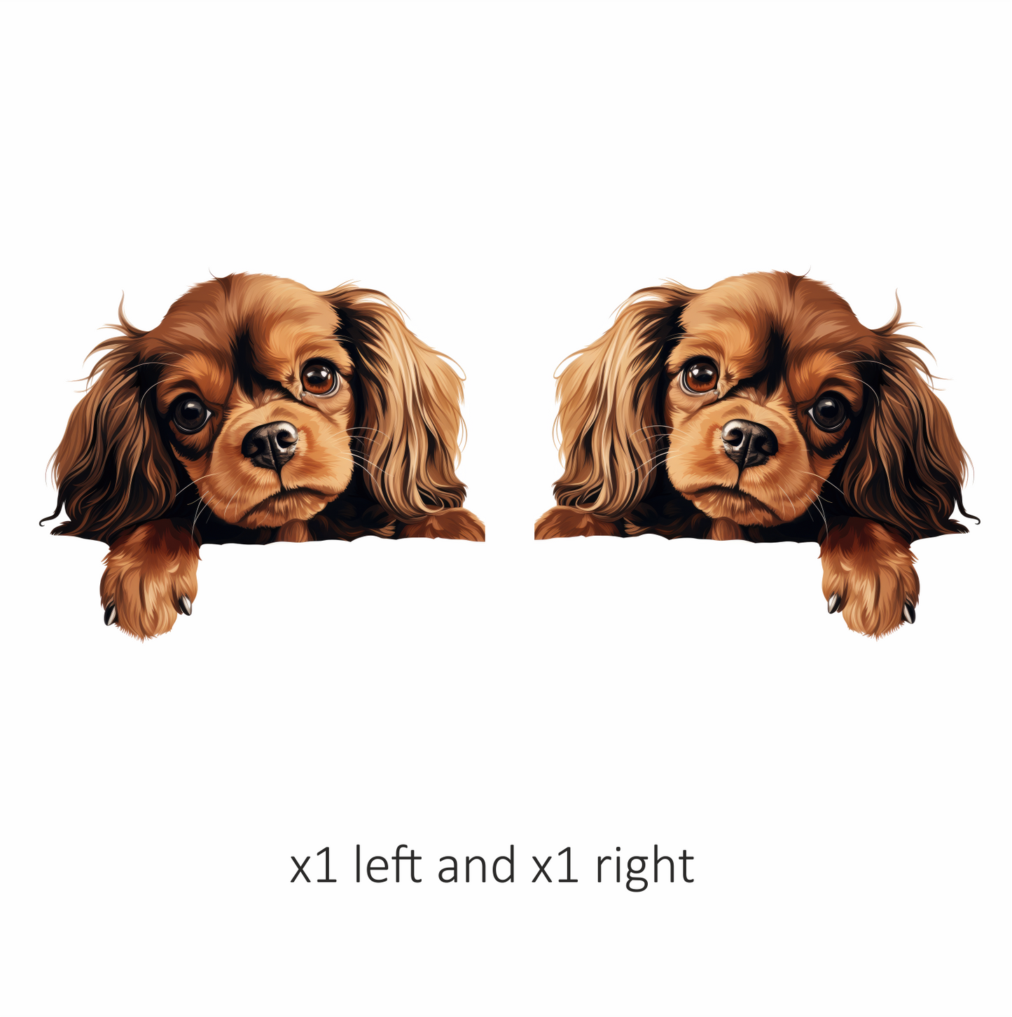 Brown Dog Cavalier King Charles Vinyl Sticker Decal
