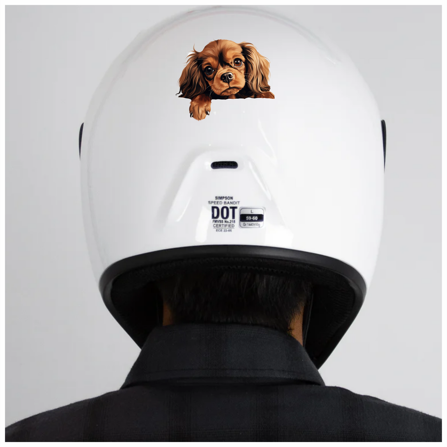Brown Dog Cavalier King Charles Vinyl Sticker Decal