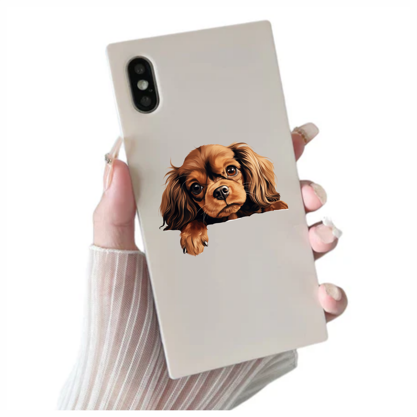 Brown Dog Cavalier King Charles Vinyl Sticker Decal