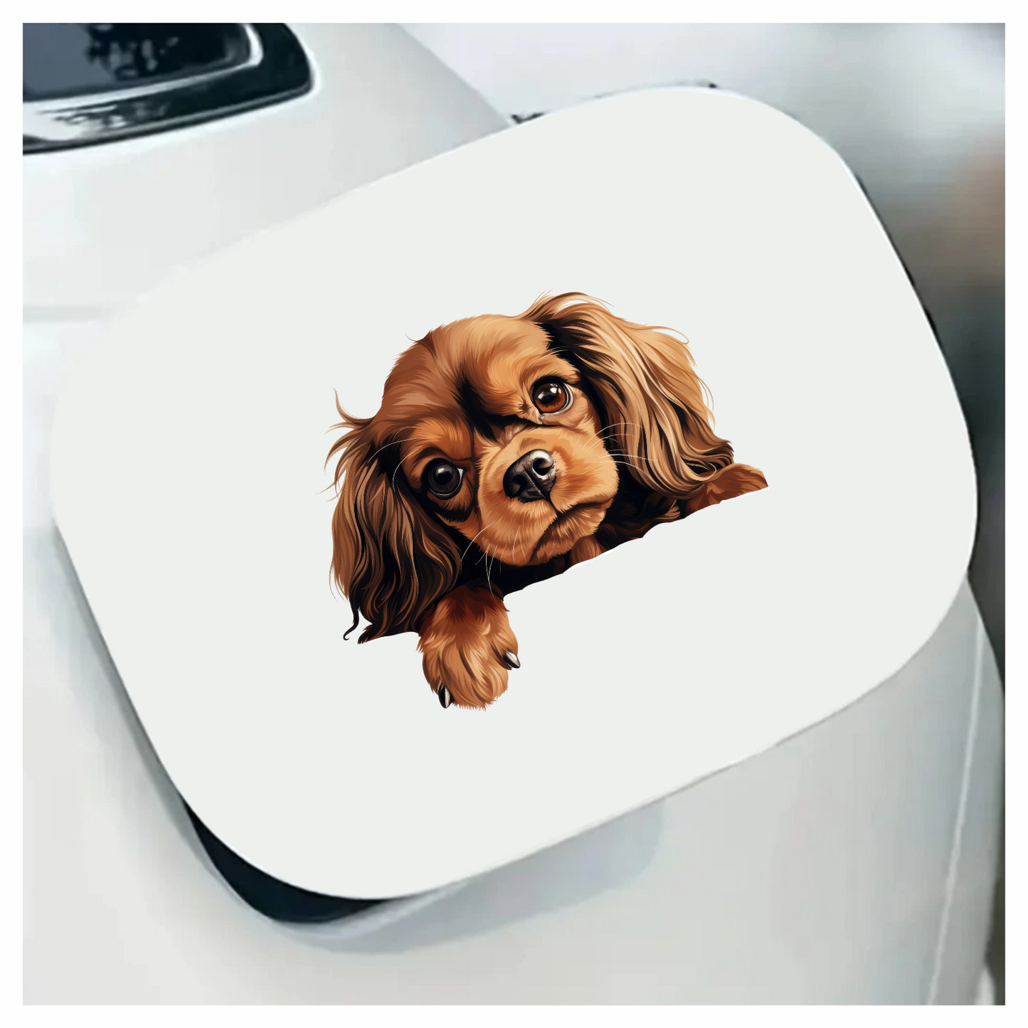 Brown Dog Cavalier King Charles Vinyl Sticker Decal
