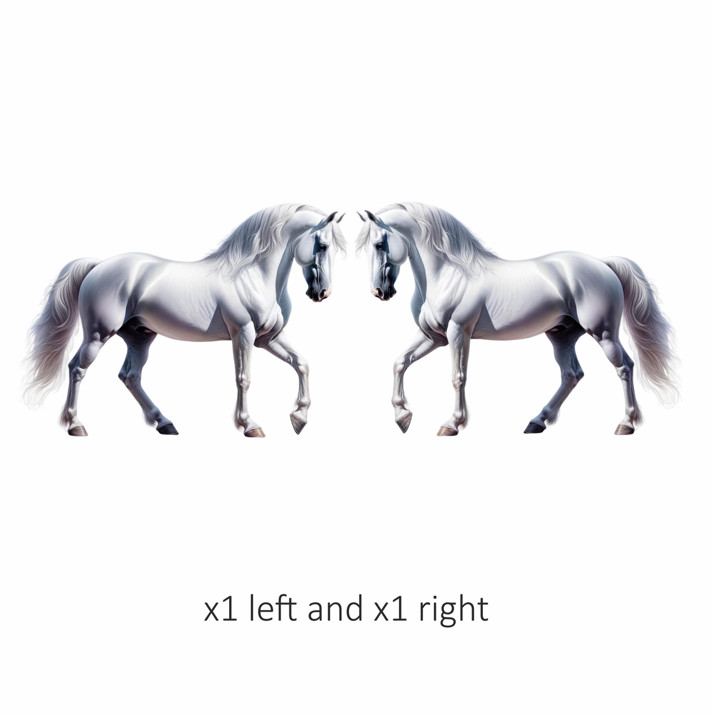 White Horse Andalusian Strong Graceful Elegant Vinyl Sticker Decal