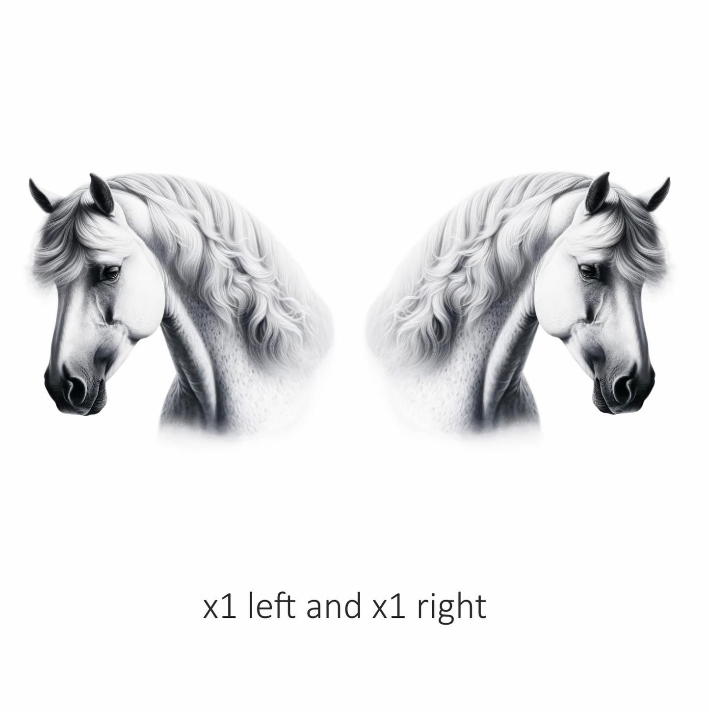 White Horse Andalusian Portrait Graceful Vinyl Sticker Decal