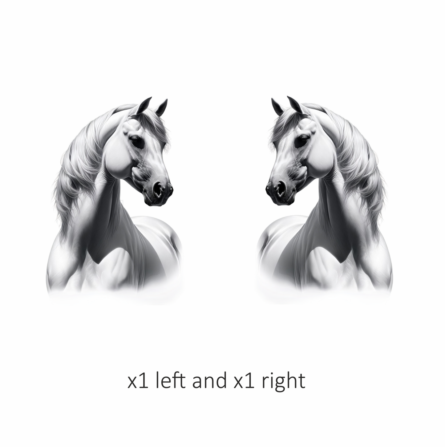 White Horse Arabian Strong Elegant Graceful Vinyl Sticker Decal