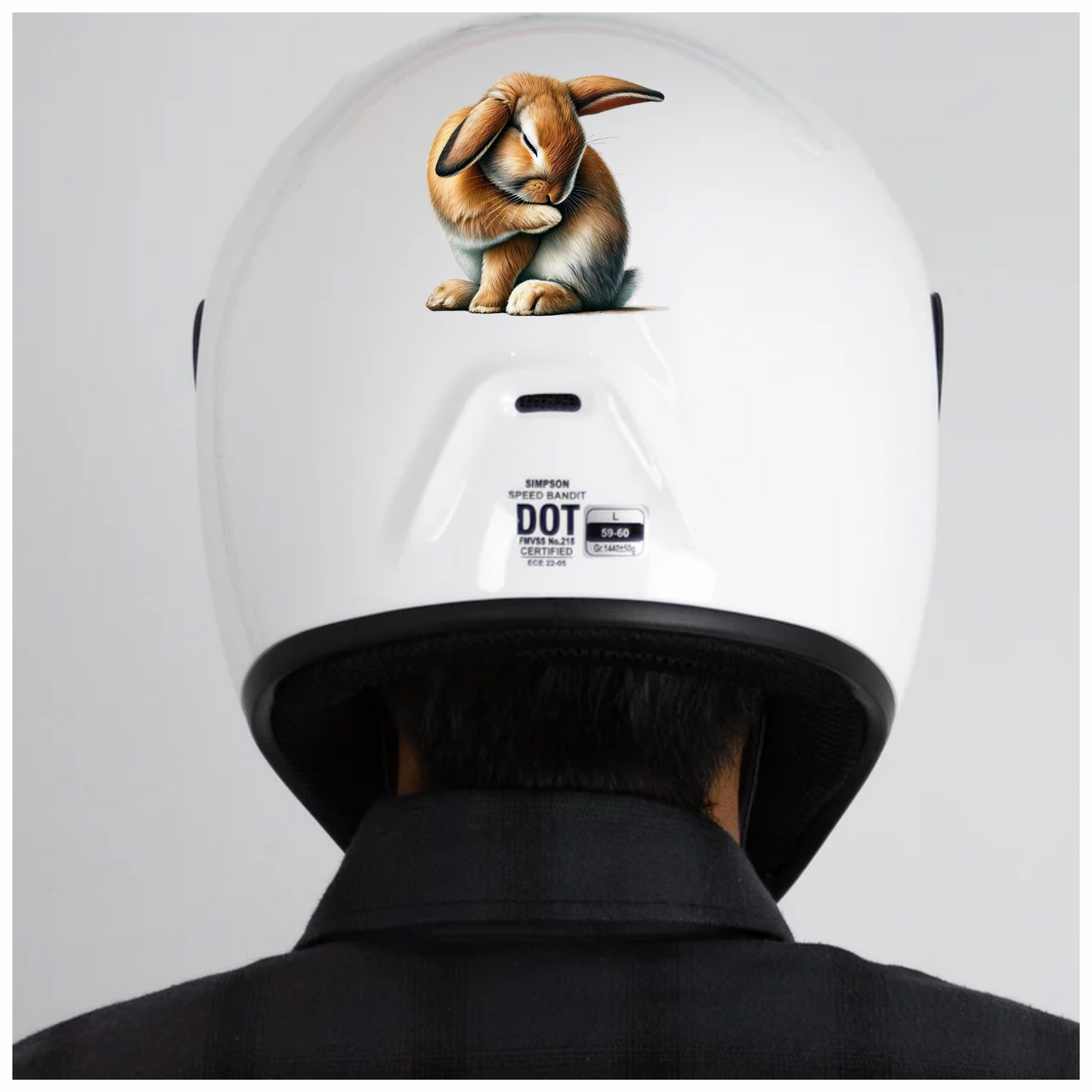 Brown Rabbit Lop Sitting Cute Vinyl Sticker Decal